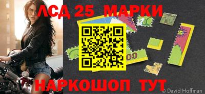 индика Моздок