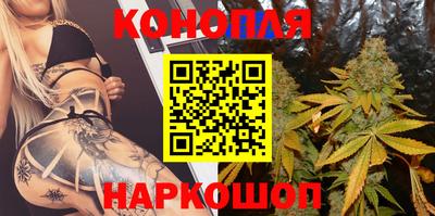индика Моздок