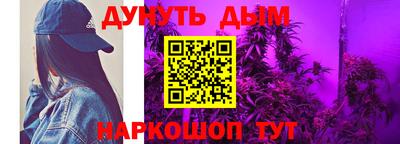 Альфа ПВП Можга